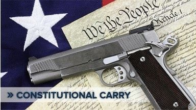 Constitutional Carry Introduced!