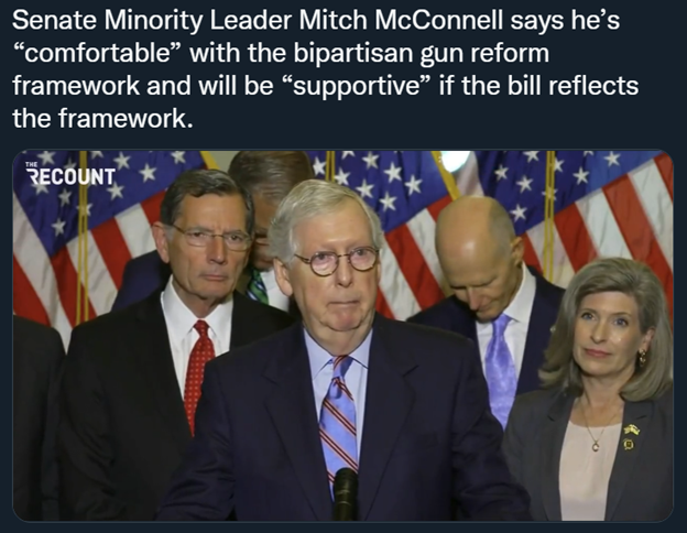 McConnell: “I support gun control!”