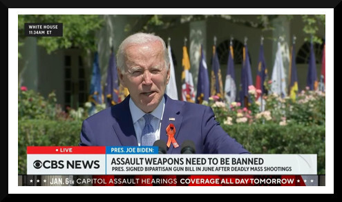 Breaking…White House Going ‘All In’ on Assault Weapons Ban!