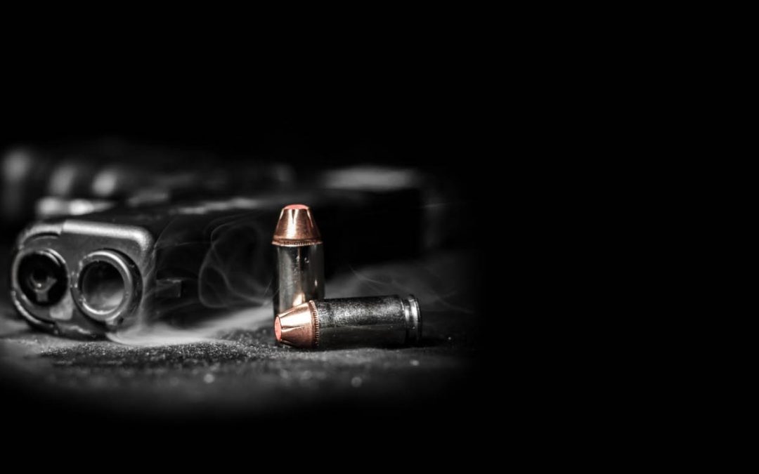 Gun Owner Survey: Where Do You Stand On These 2A Issues In North Carolina?