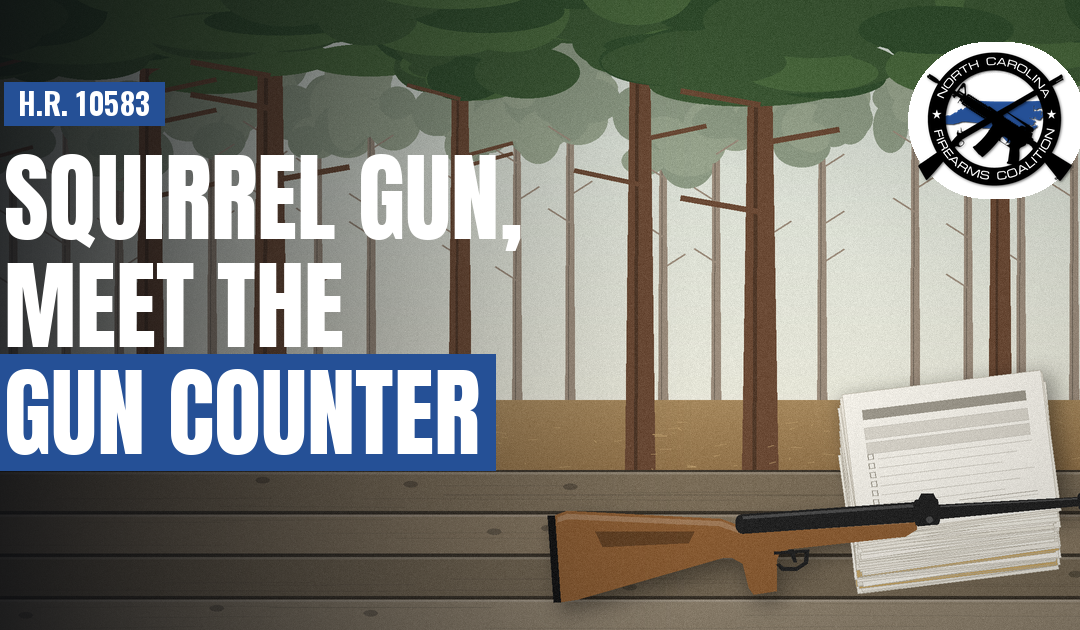 Squirrel Gun, Meet the Gun Counter: What H.R. 10583 Does to Air Guns