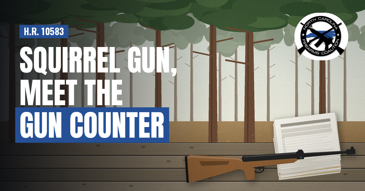 Squirrel Gun, Meet the Gun Counter